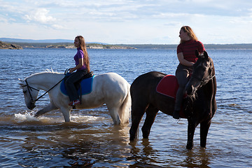 Image showing The girls led the horses to water