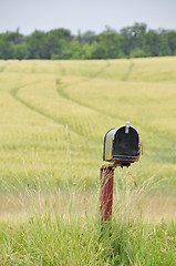 Image showing Country Mailbox
