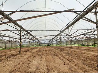 Image showing Greenhouse