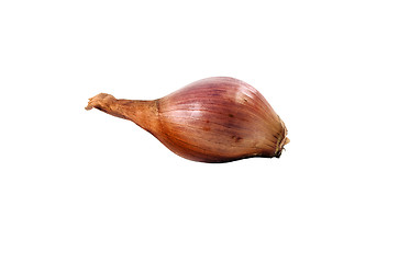 Image showing Isolated onion.