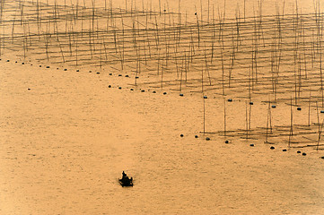 Image showing Boat near the seaweed farm