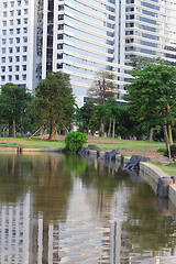 Image showing Urban garden