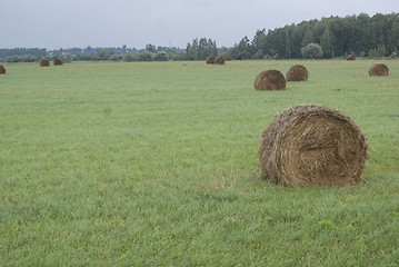 Image showing Hay stacks