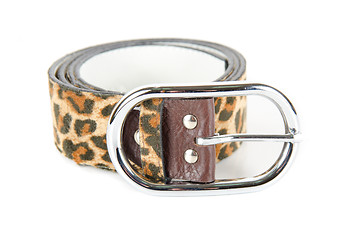 Image showing leopard belt