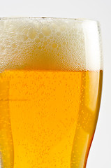 Image showing Glass of beer