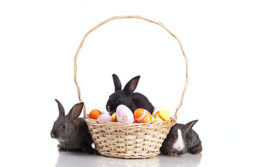 Image showing Easter Rabbits