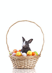 Image showing Easter Rabbits