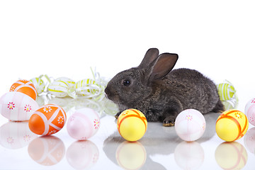 Image showing Easter Rabbits