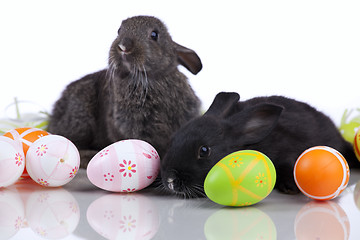 Image showing Easter Rabbits