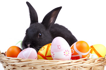 Image showing Easter Rabbits