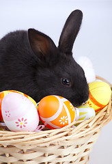 Image showing Easter Rabbits
