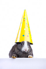 Image showing Easter rabbit holding a party hat