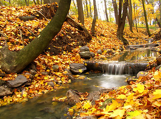 Image showing Autumn stream