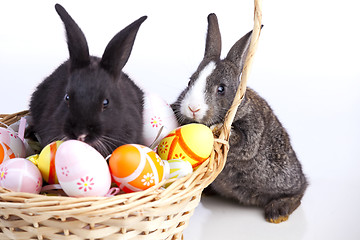 Image showing Easter Rabbits