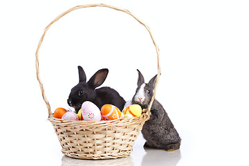 Image showing Easter Rabbits