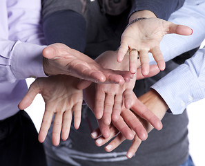 Image showing Team hands