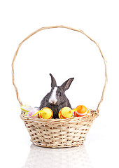 Image showing Easter Rabbits