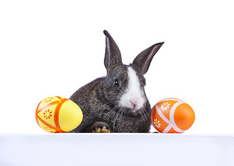 Image showing Easter rabbit holding a banner