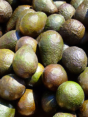 Image showing Avocado