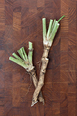 Image showing Horse Radish