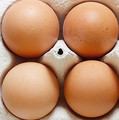 Image showing Eggs