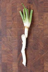 Image showing Horse Radish