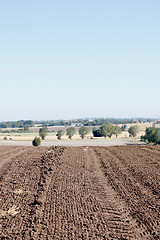 Image showing Countryside