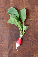 Image showing Radish