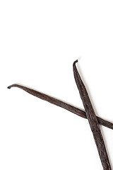 Image showing Vanilla
