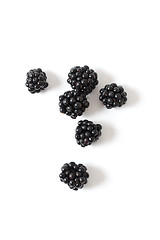 Image showing Blackberries