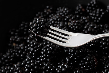 Image showing Blackberries 