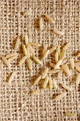 Image showing Brown rice