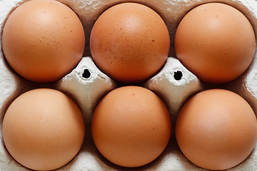 Image showing Eggs