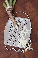 Image showing Grated horseradish