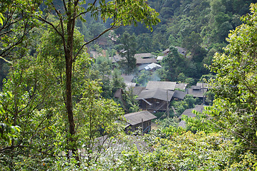 Image showing Forest village