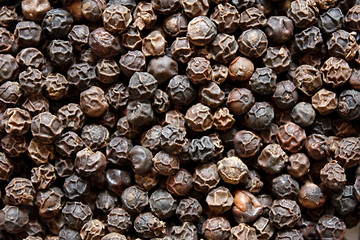 Image showing Black pepper