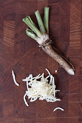 Image showing Grated horseradish