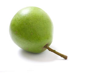 Image showing Pear