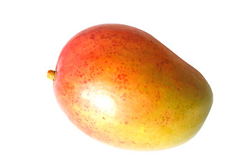 Image showing Mango