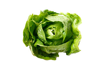 Image showing Romaine salad