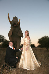 Image showing Wedding Couple with elephant