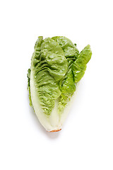 Image showing Romaine salad