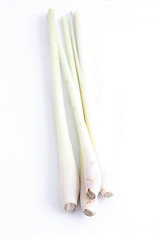 Image showing Lemon grass