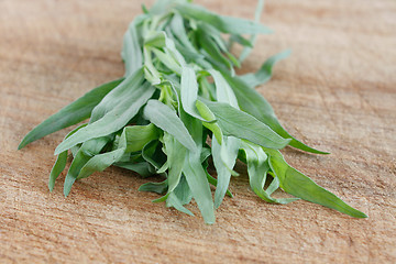 Image showing Tarragon