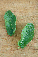 Image showing Mint leaves