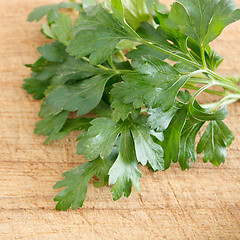 Image showing Parsley