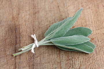 Image showing Sage