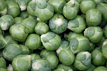 Image showing brussel sprout