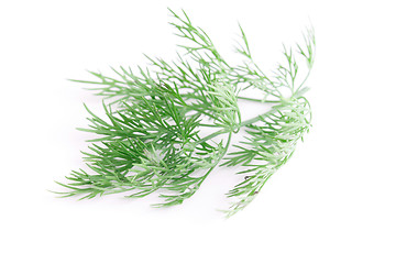 Image showing Dill