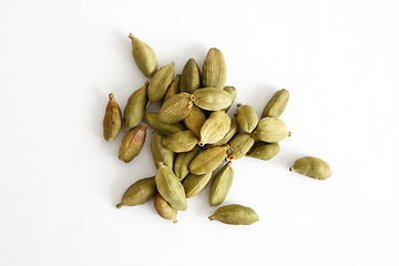 Image showing Cardamom